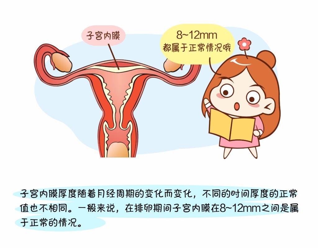 子宫内膜正常厚度